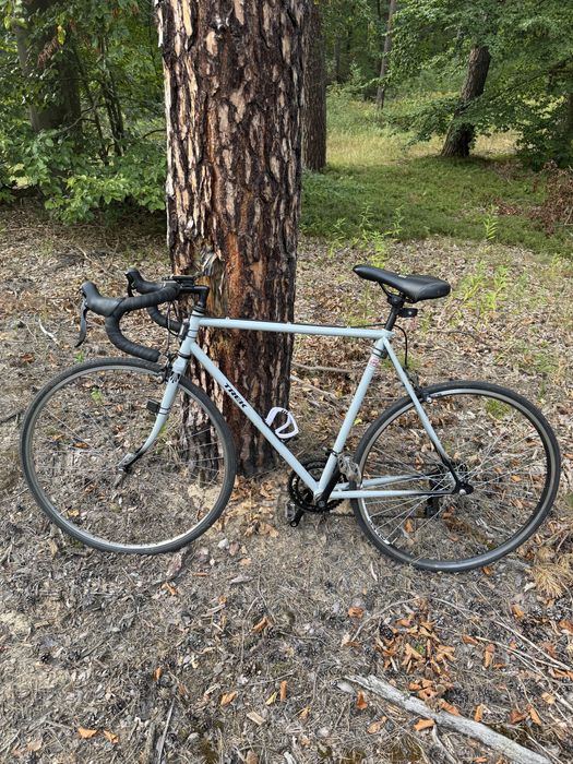 Rower szosowy, kolarzówka, szosa trek nie scott kross