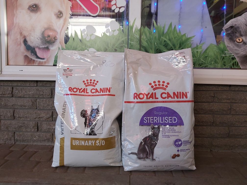 Dog Chow Bavaro Royal Canin Purina Josera Asi Мяу Club4Paws сухой корм