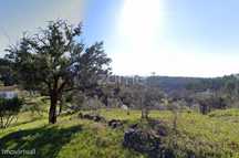 Terreno de 4992m2 com ruína em pedra na Sertã