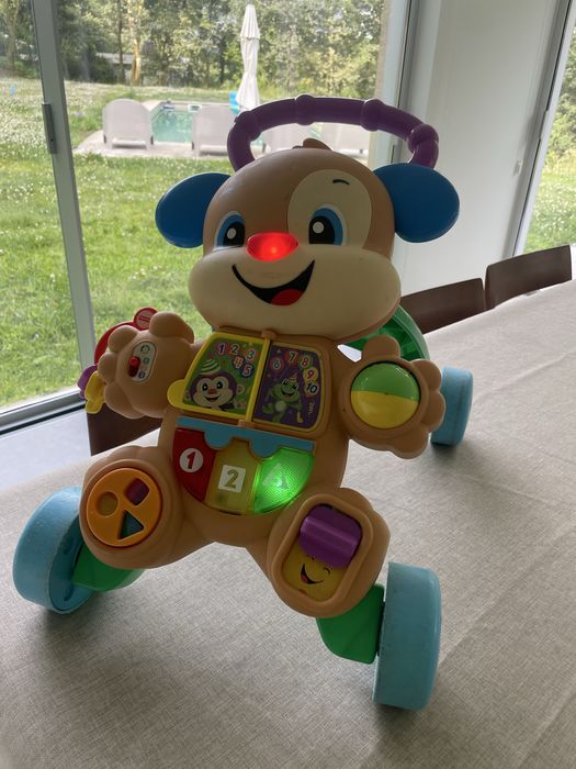 Andador do Cãozinho FISHER PRICE (Idade Mínima: 6 meses)