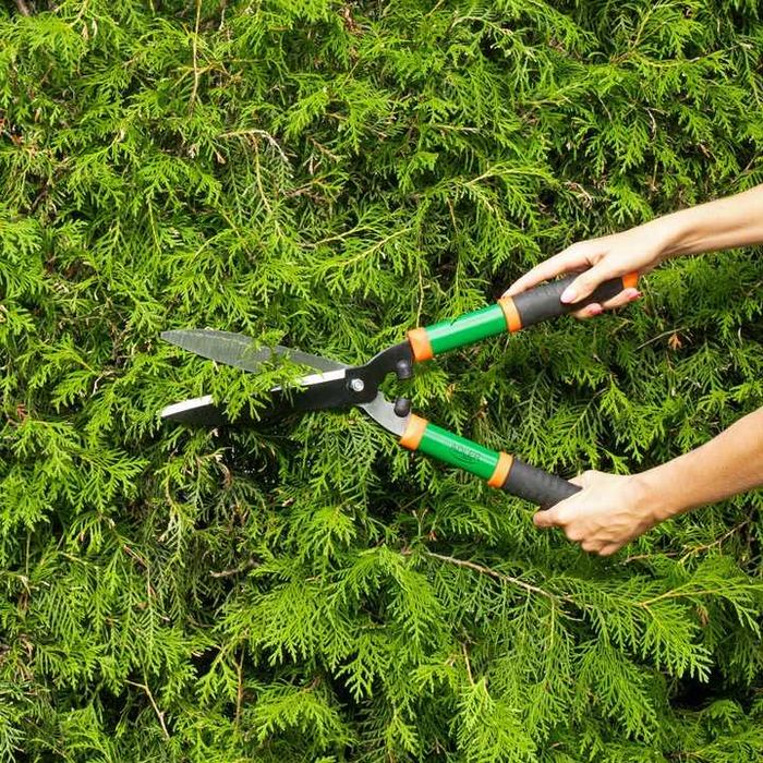 ZESTAW 3 sztuk SEKATOR do GAŁĘZI do ŻWYOPŁOTU Nożyce Ogrodowe