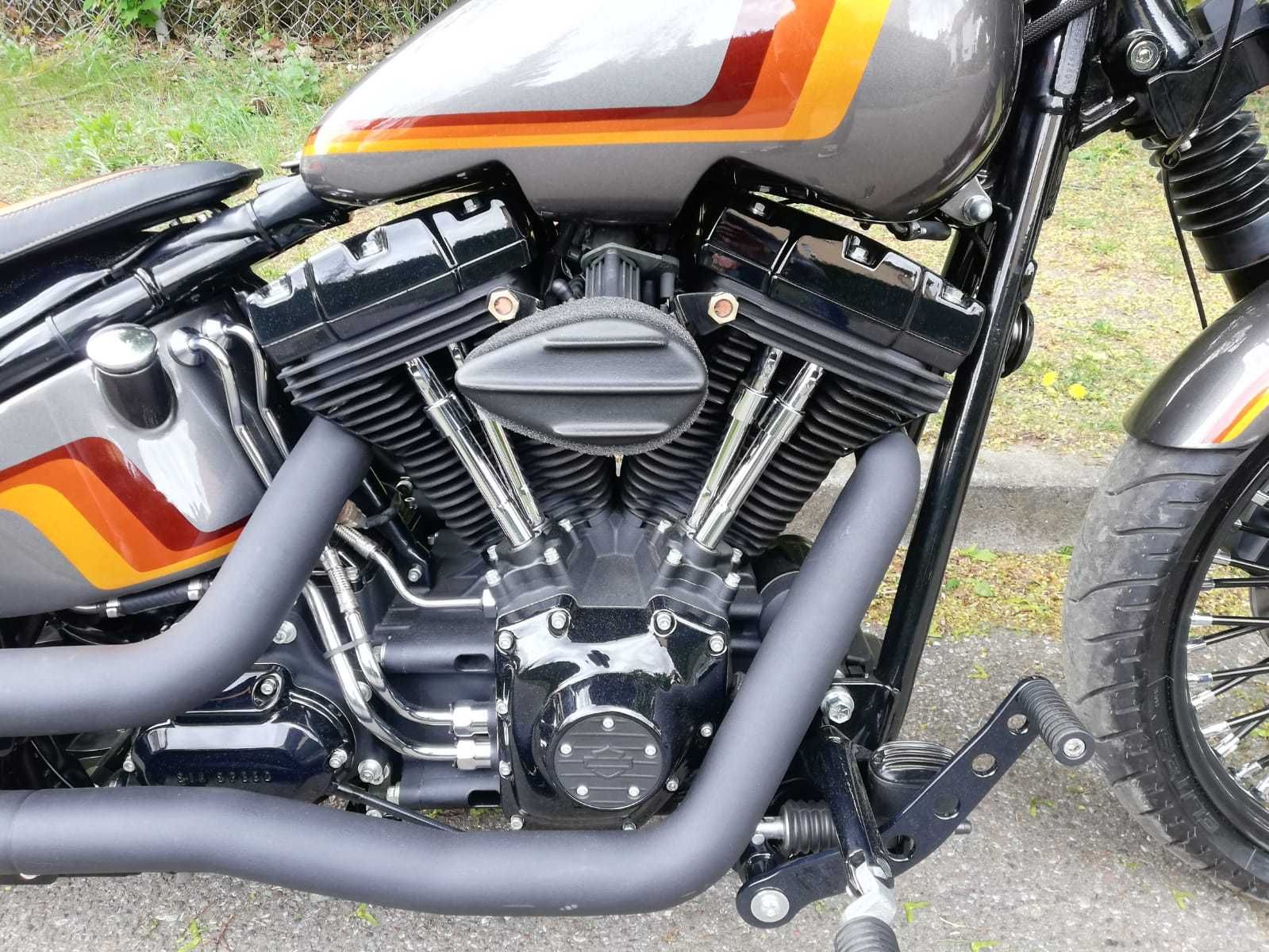 Harley-Davidson Custom Softail 1600 Street Bob Mega Projekt