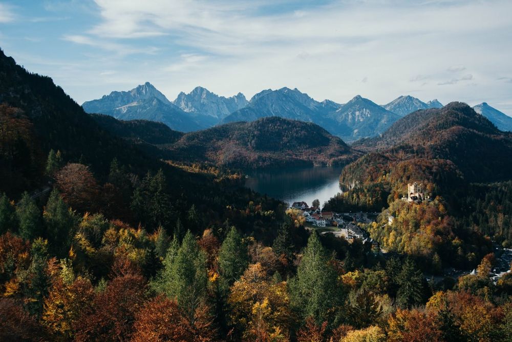 phoenix 19 35mm f3 5 4.5