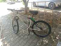 Bicicleta  adulto