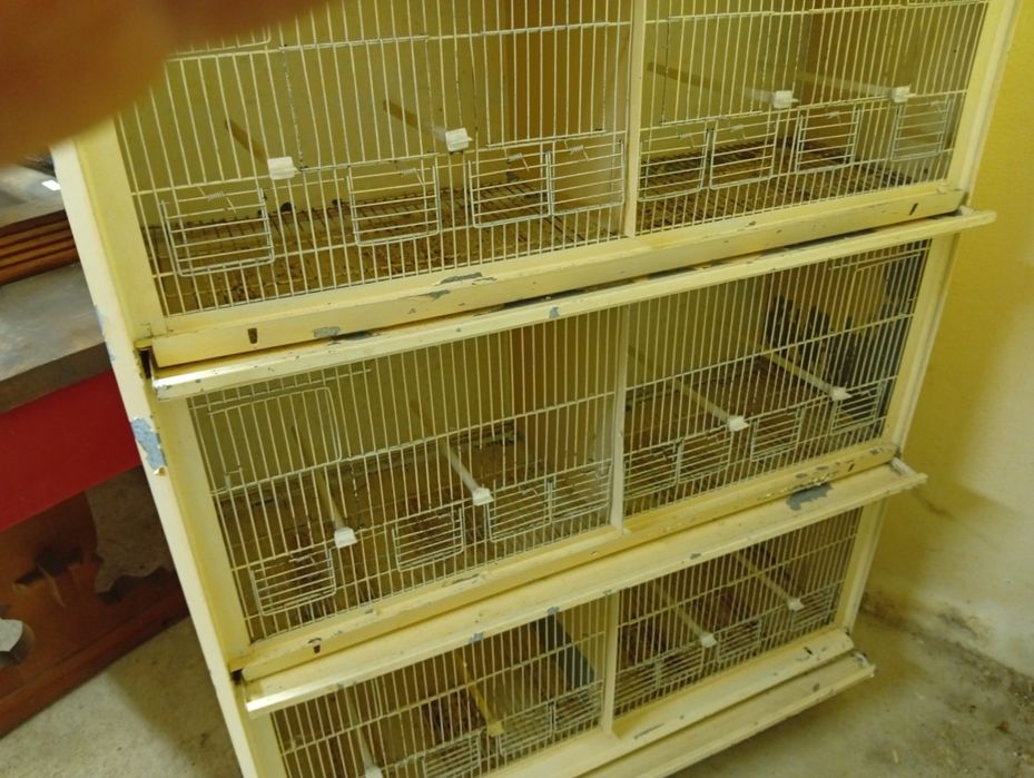 Vendo viveiro em chapa