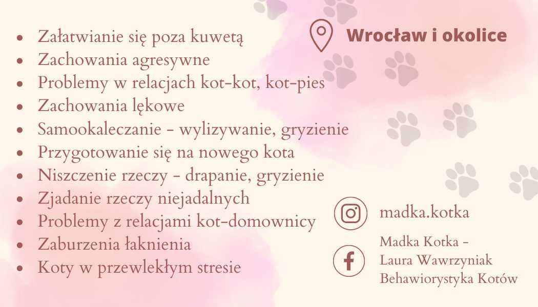 Madka Kotka - Laura Wawrzyniak Behawiorystyka Kotów / Wrocław