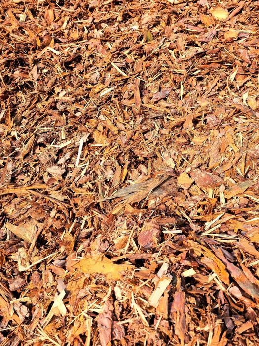 Kora Sosnowa workowana 80l  Promocja Warto   Osielsko Fordon dowóz