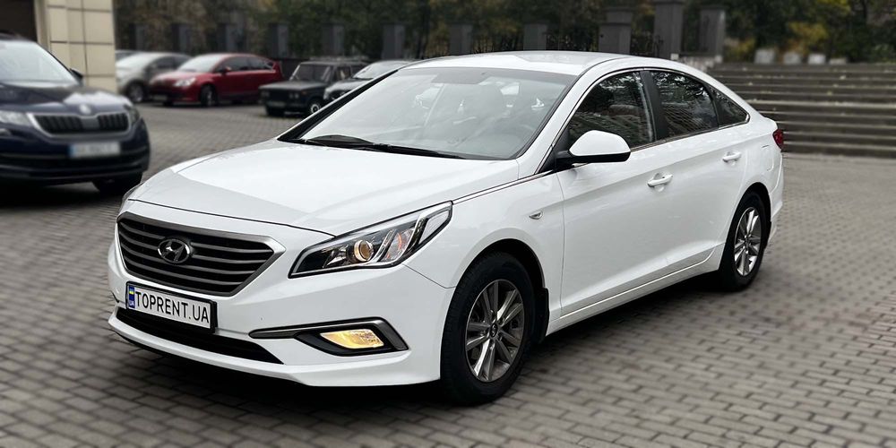 Оренда КОМФОРТНИХ авто  Киев НЕ ДЛЯ ТАКСІ - Сивик Джета Корола Елантра