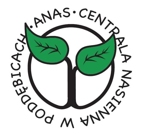 Pszenica SU Banatus kwalifikowany materiał siewny C1