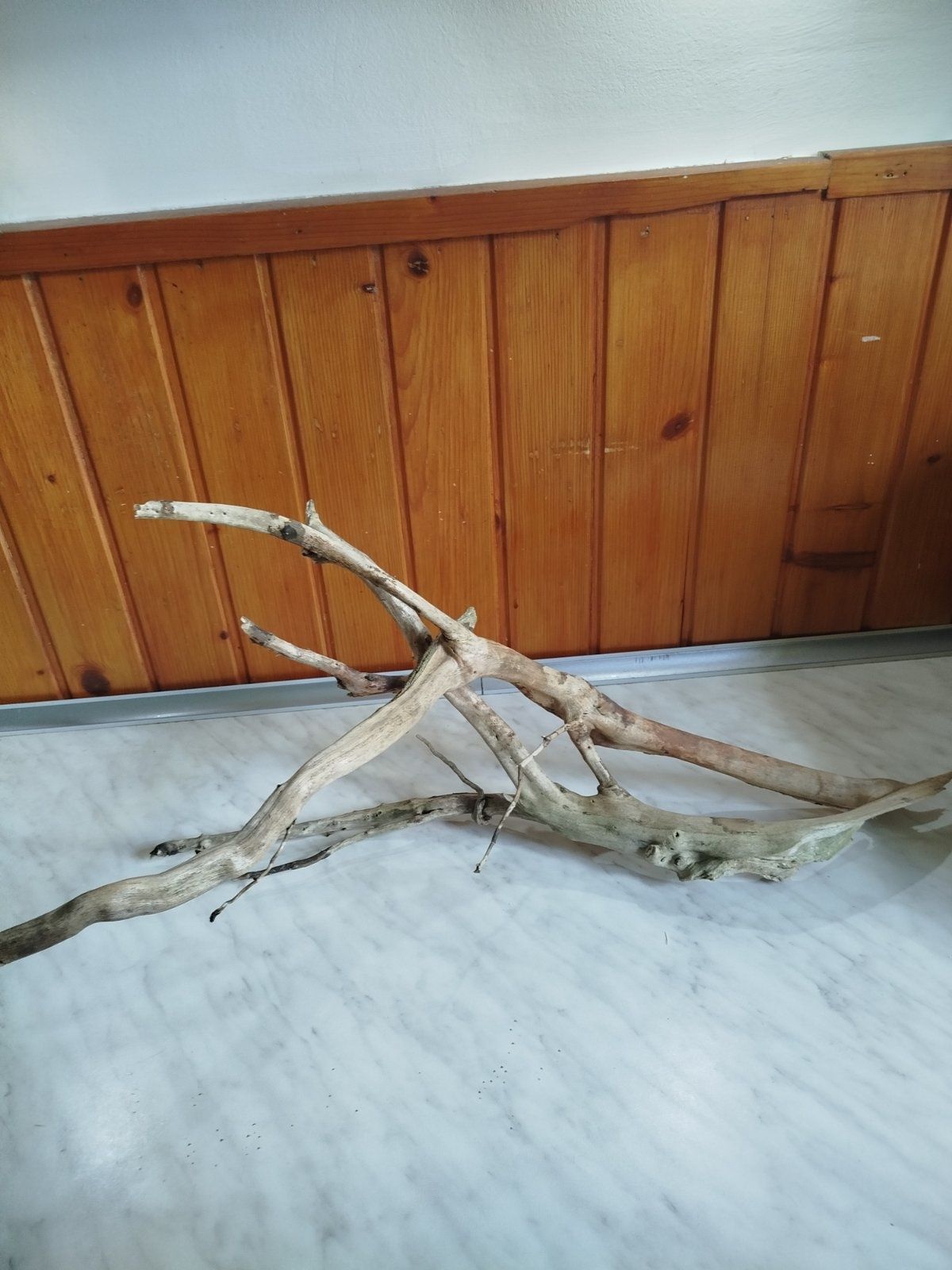 Korzeń do Akwarium