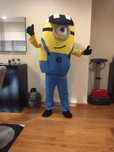 Mascote/Fato Minion