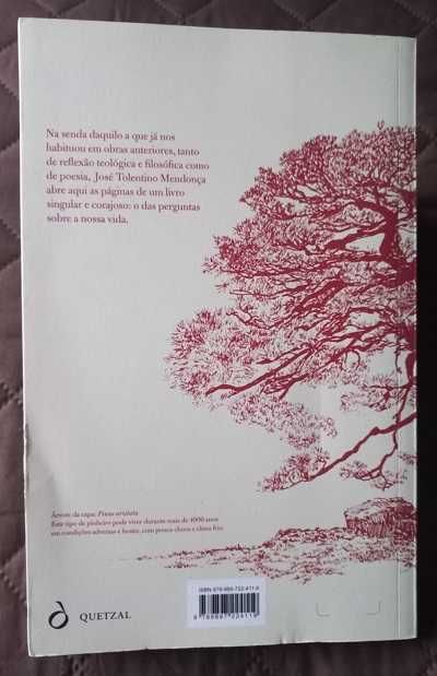 O Pequeno Caminho das Grandes Perguntas - José Tolentino Mendonça