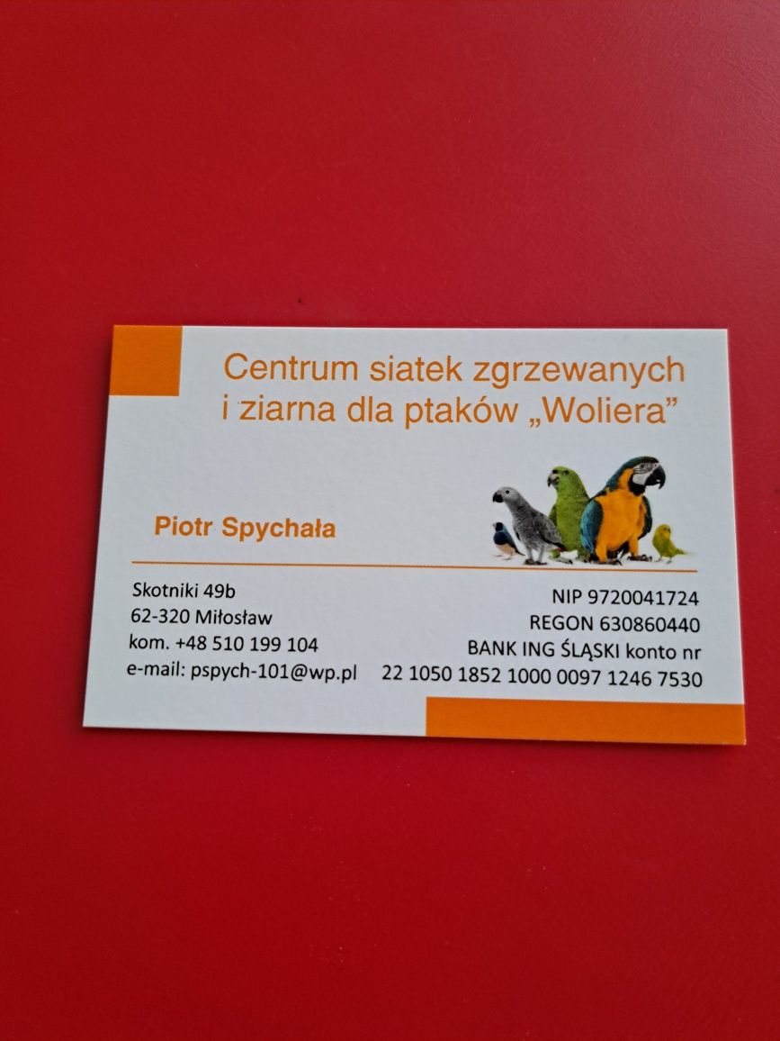 ziarno, karma, mieszanka papuga średnia 4,5 zł kg