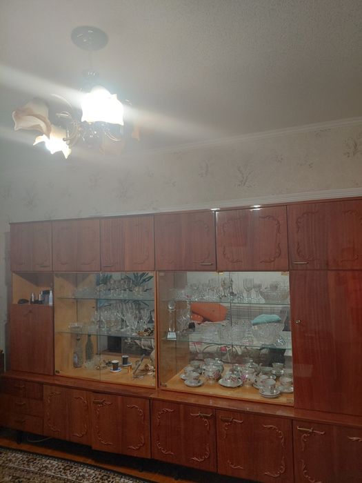 Стінка 80-х  дерево, Київ, метро Мінська