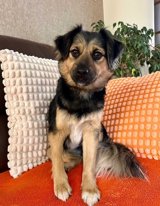 Podaruj jej dom! Mała Arizona!