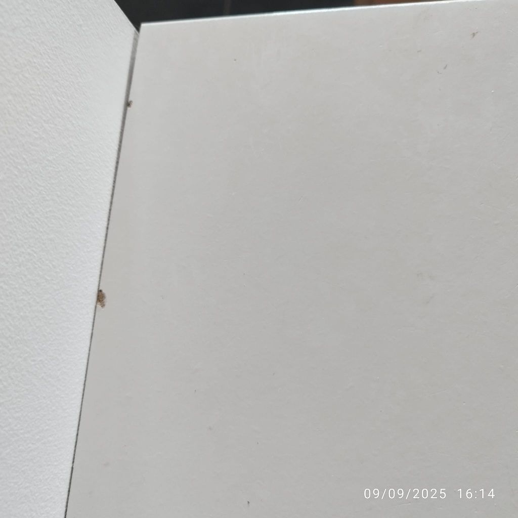 Sapateira ikea em Excelente estado