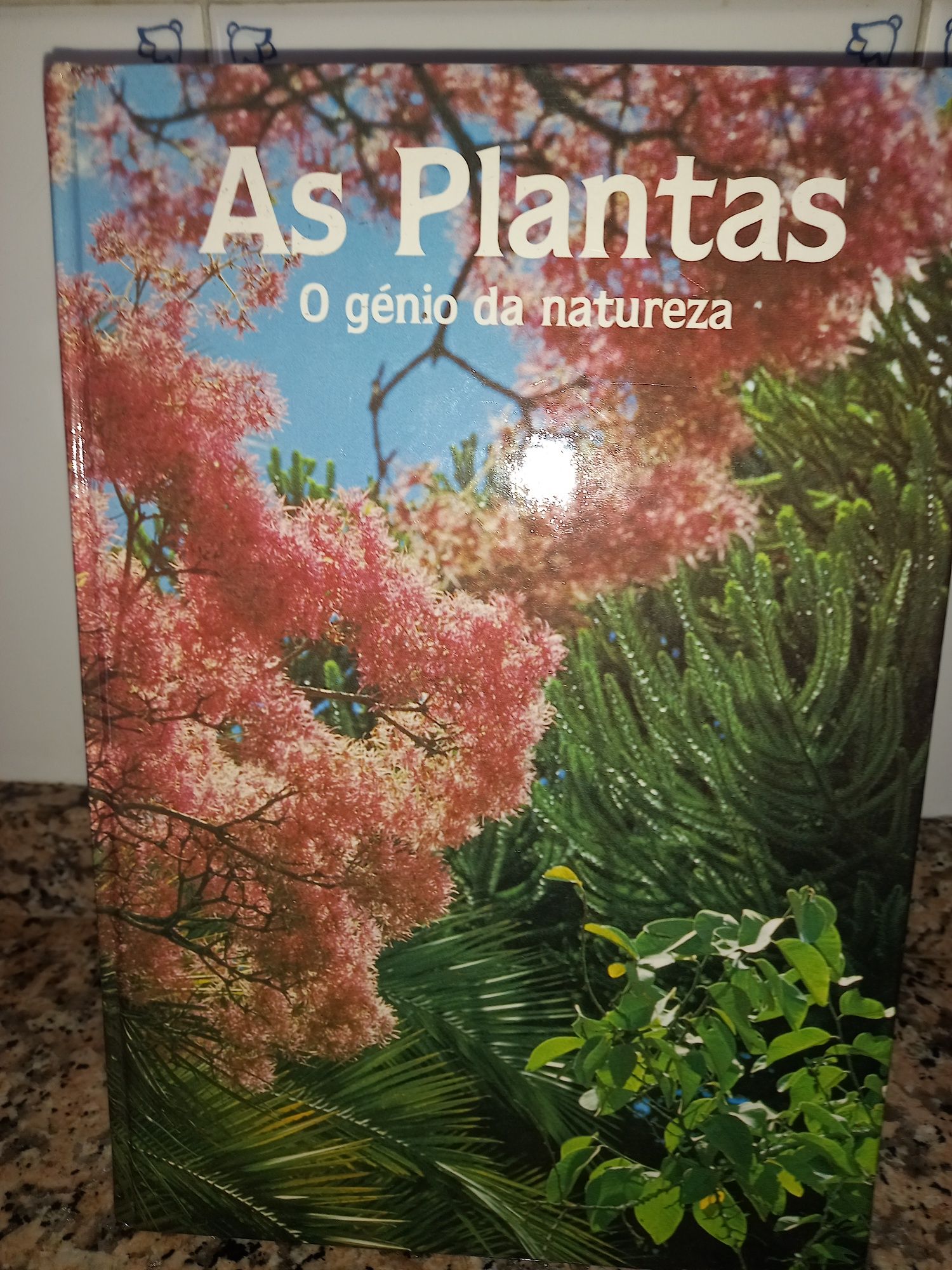 Livros diversos como novos