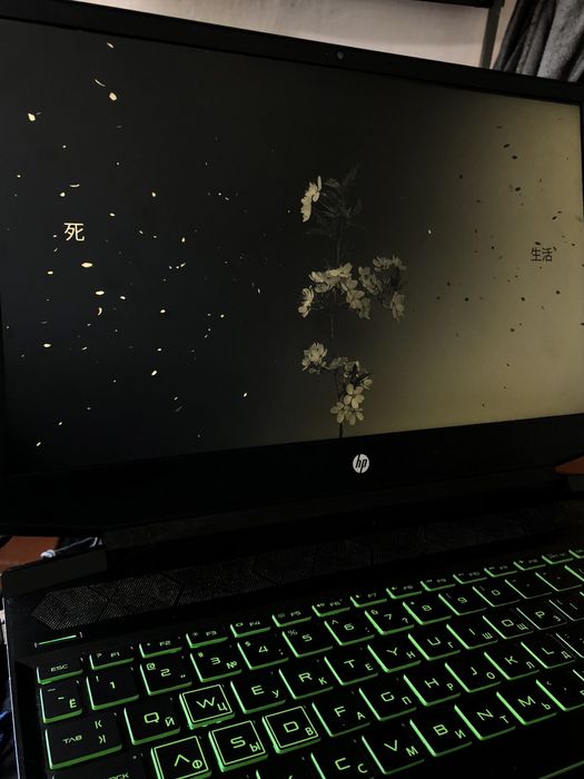 Hp Pavilion Gaming 15/GTX1650
