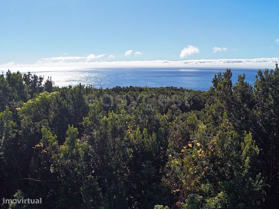 Terreno com Vista Mar - São Mateus, Madalena do Pico
