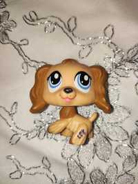 LPS littlest pet shop piesek dog spaniel Hasbro