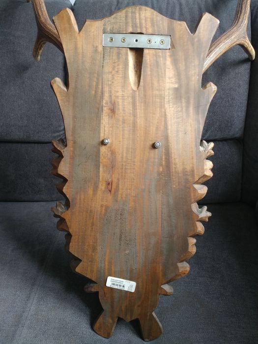 Poroże jelenia wieniec trofeum dwunastak