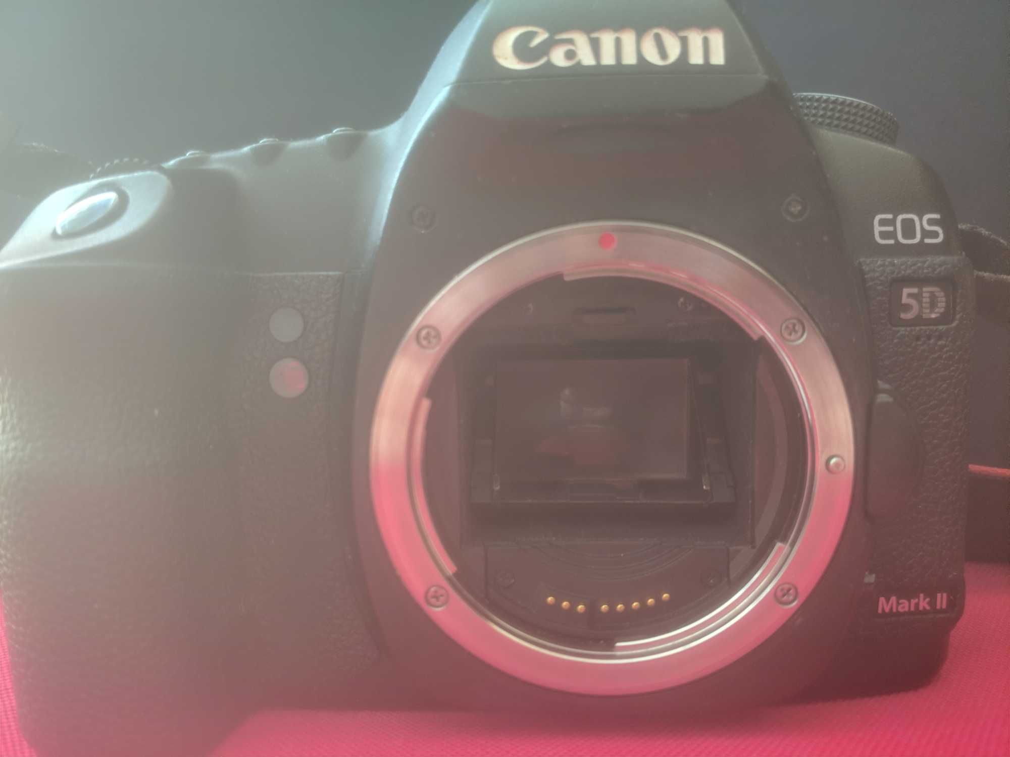 Canon 5D mark II mkII кенон 5д марк 2 + Sigma 28-300 f3.5 - 6.3 + Cf