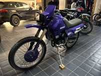 Sis morini  gs 4