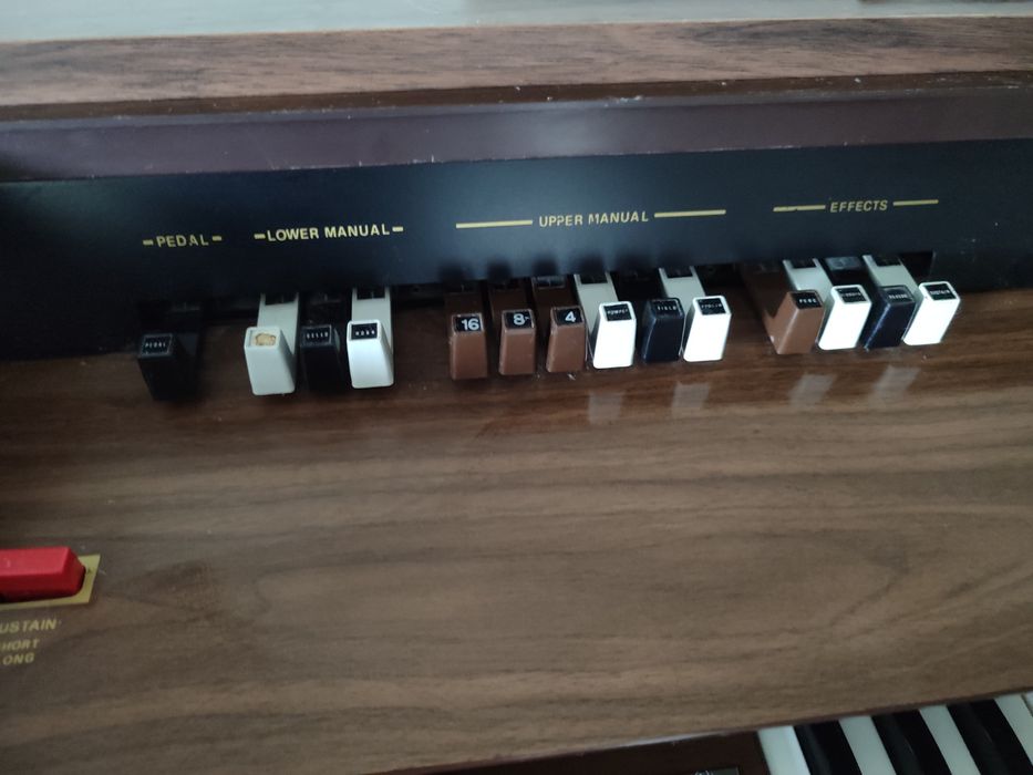 Organy elektryczne  Consul -S