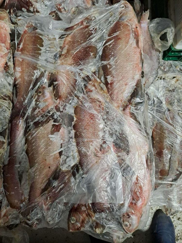 Риба заморожена річкова Опт