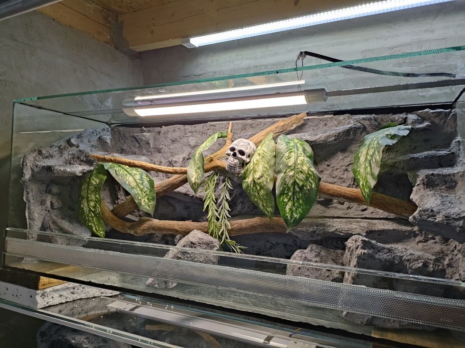 Terrarium nr1 120x40x50 wąż, gekon, agama, jaszczurka