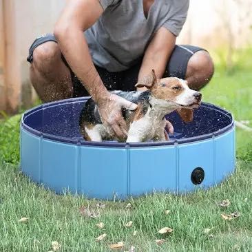 Piscina pequena para cães