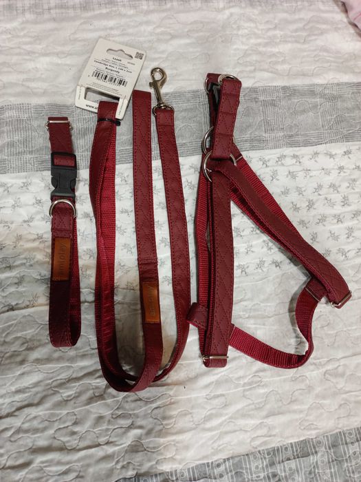 Zestaw dla psa Amiplay