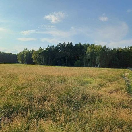 Działka budowlana 9.44 ar Węgliska - Rakszawa