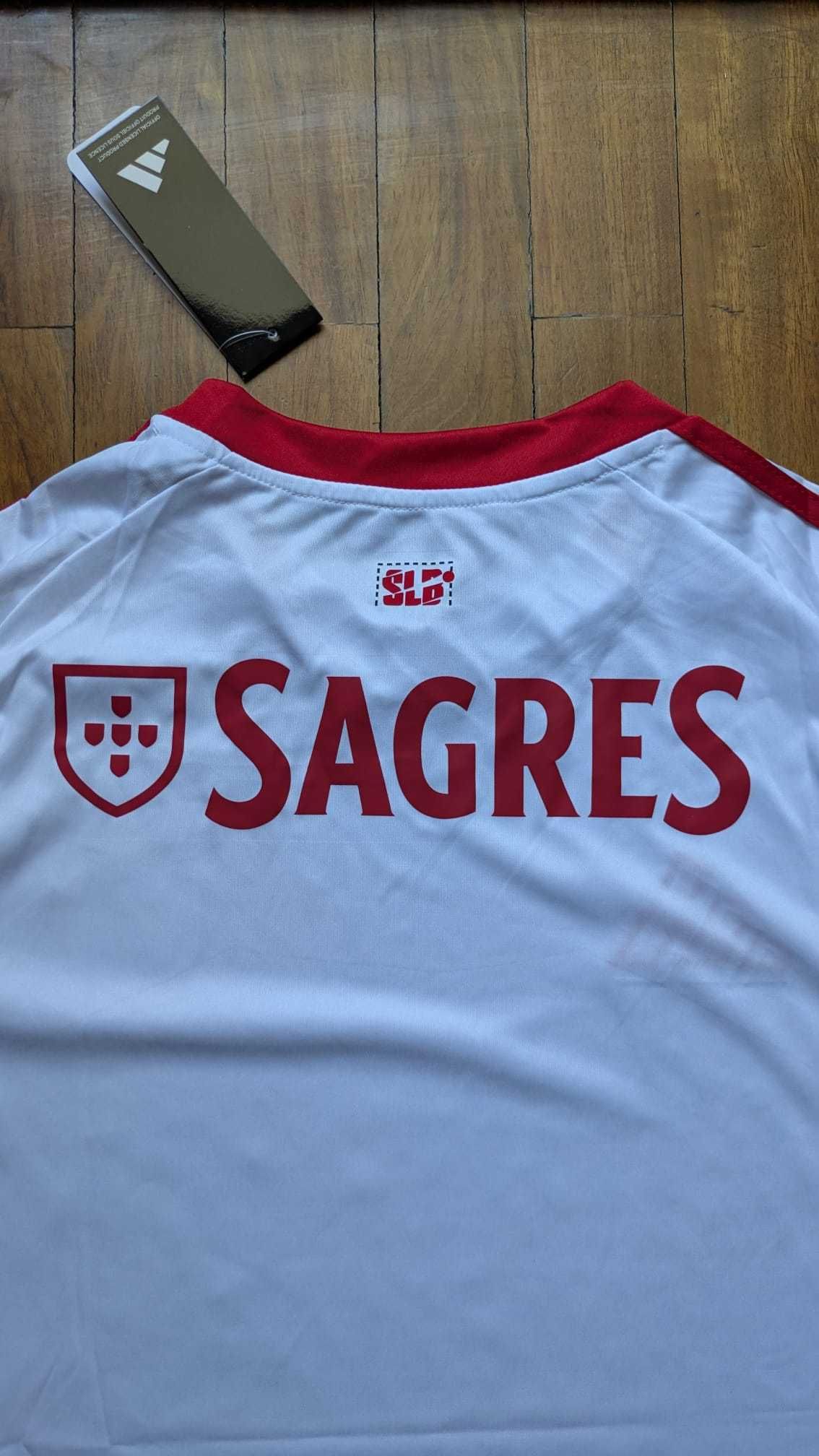Camisolas Benfica Alternativo 25/26 [S, L, M, XL]