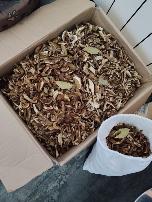 Grzyby suszone . Zbiory 2025. Pełen karton