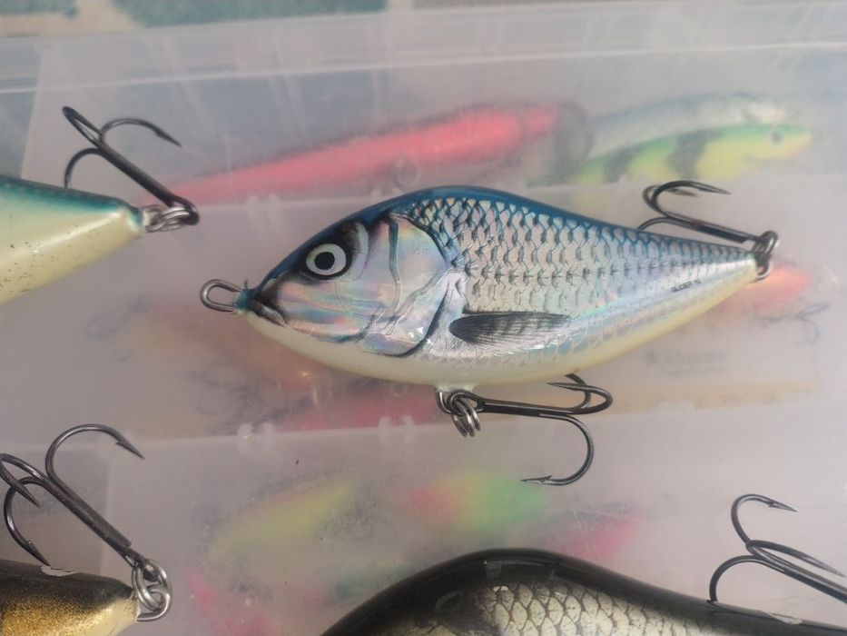 Salmo Slider 12 i 10 cm