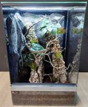 Terrarium szklane nr42 40/40/60 dla gekona orzęsionego NA ZAMÓWIENIE