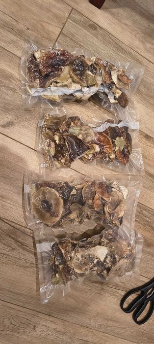 Suszony borowik szlachetny tegoroczny pakowany próżniowo 100g