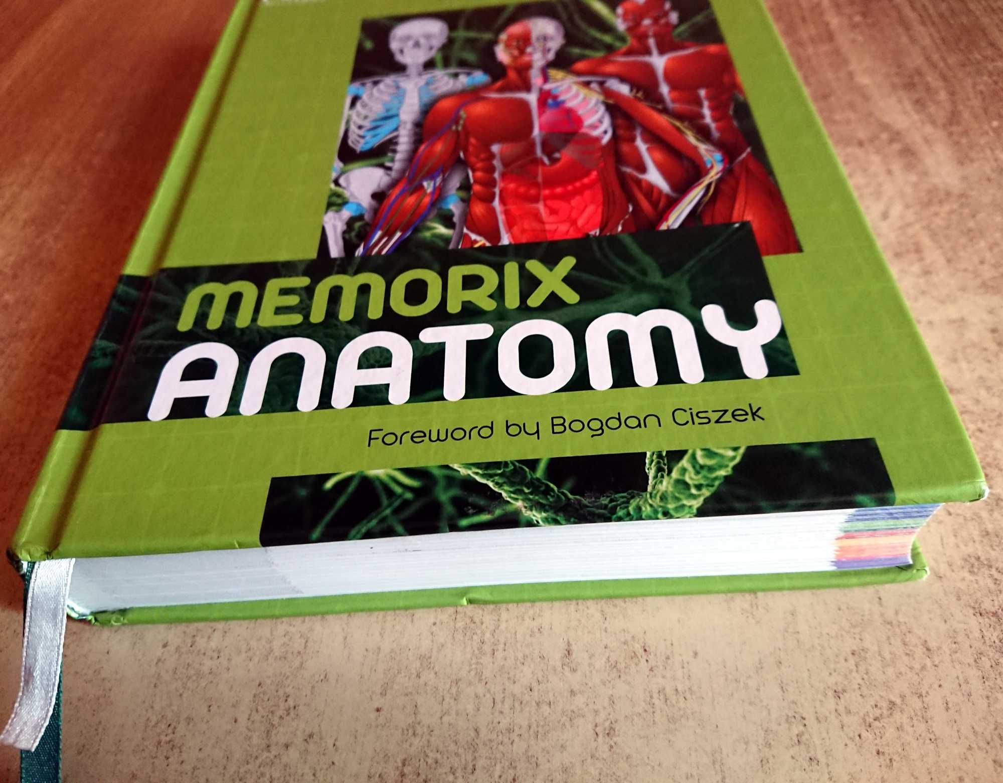 Memorix Anatomy. Anatomia po angielsku - Hudak, Kachlik, Bogdan Ciszek