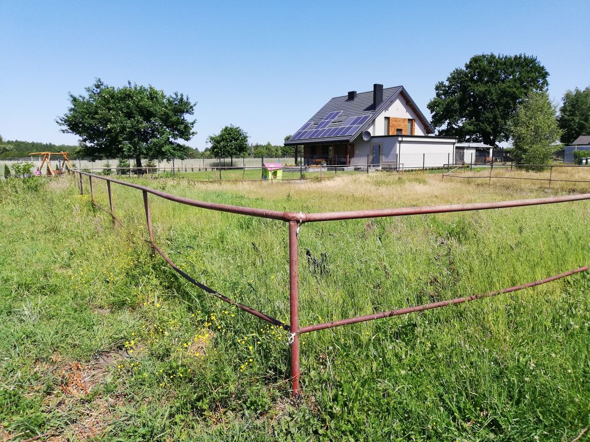 Lonżownik, wybieg dla konia