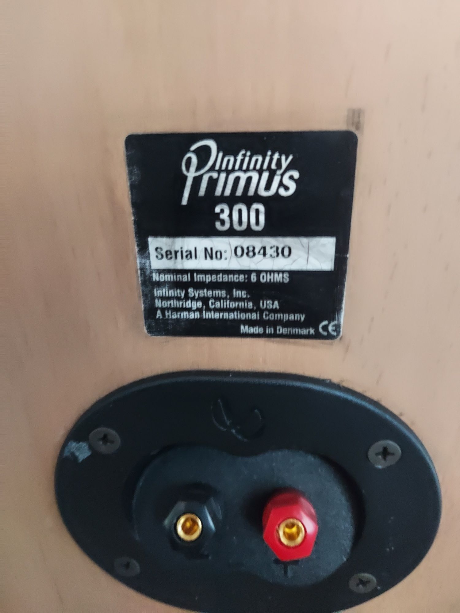 Kolumny Infinity Primus 300