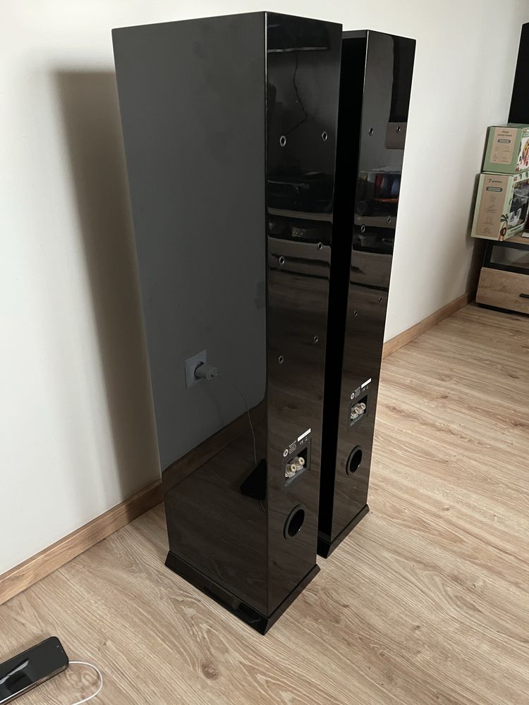 Audiofilskie DLS r55