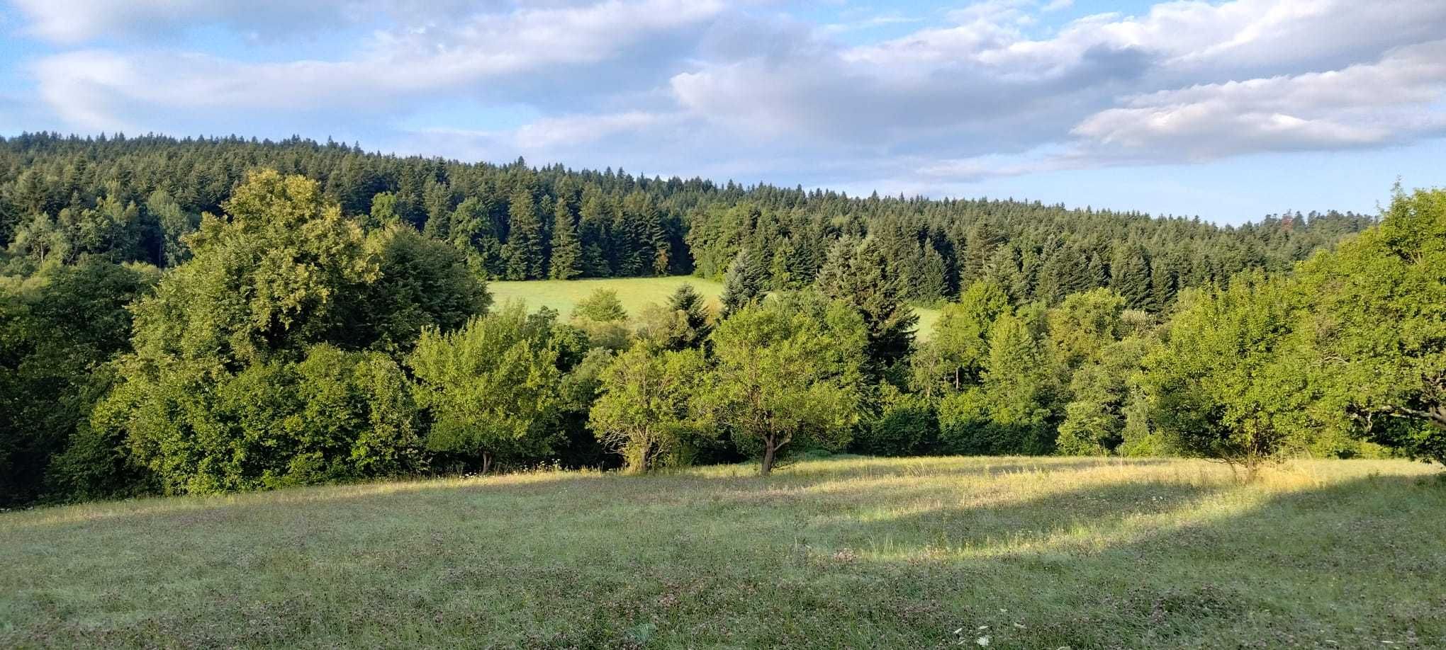 Domek przy lesie "Cisza i relaks"