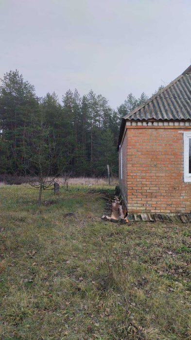 Будинок в селі Писарівка Полтавської області