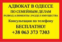 Адвокат по семейным делам | Развод, алименты, раздел, наследство и др.