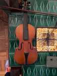 violino junior nunca usado