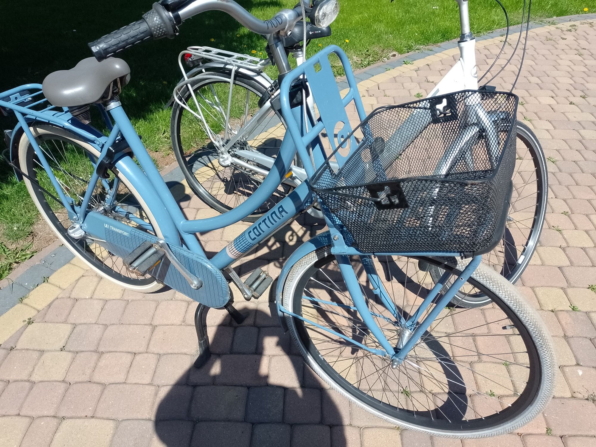 Rower holenderski cortina