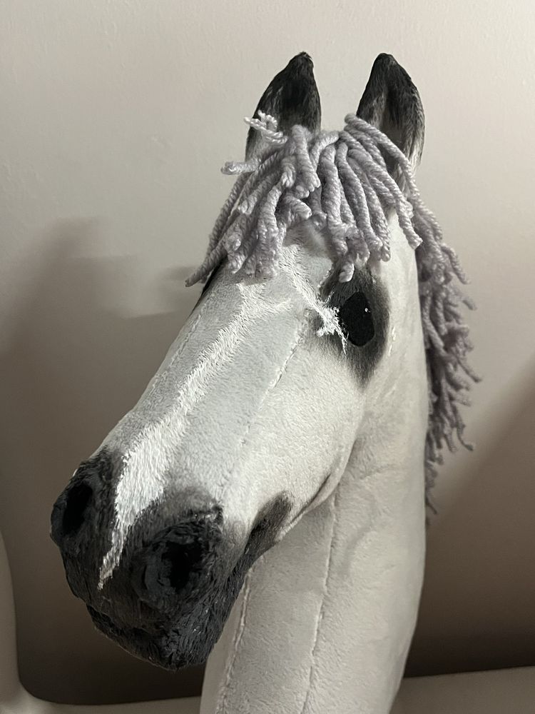 Hobby horse.
