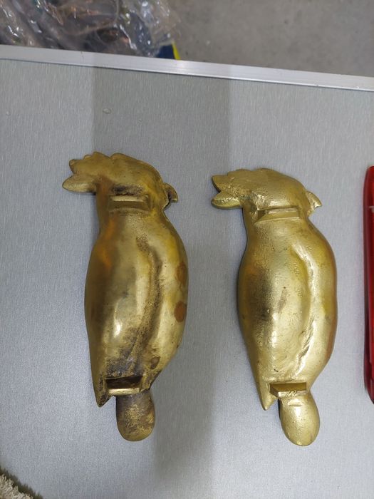 2 papagaio covilhetes