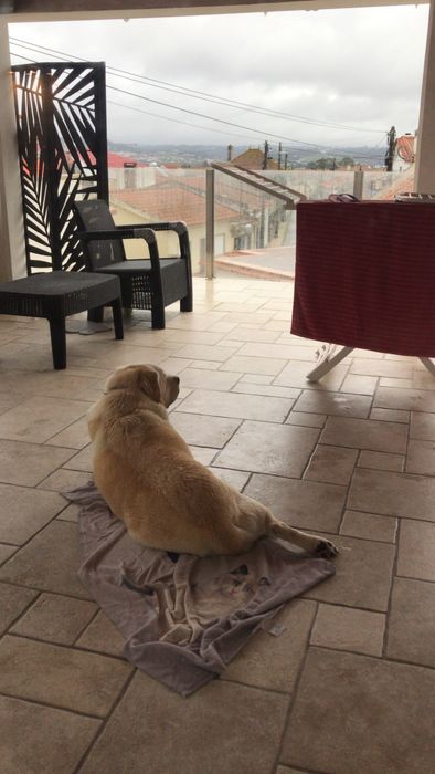 Apartamento T 3 a 5 km da Nazare